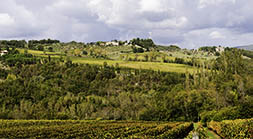 Chianti Panorama